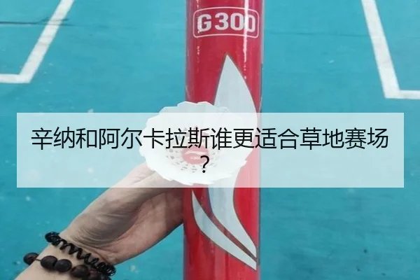 辛纳和阿尔卡拉斯谁更适合草地赛场？ - Kaiyun